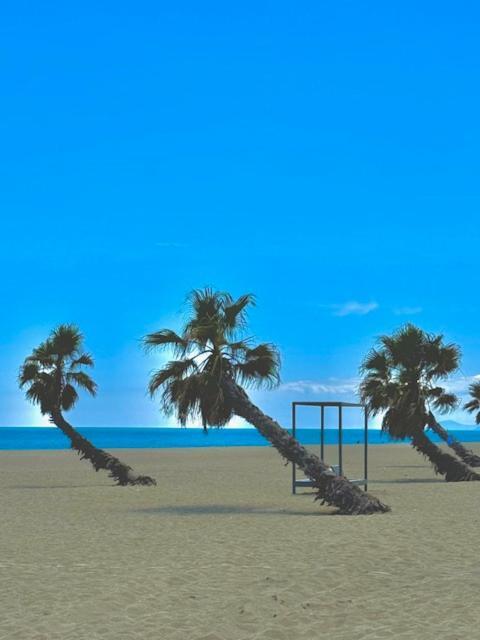 Appartement 4 Personnes Piscine 300 Plage 4Pb287 Le Barcarès Εξωτερικό φωτογραφία